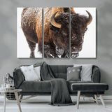65605-MGV-CV-36X24-Snow Bison Wall Art – Close Up Buffalo Canvas Print, Rustic Western Wildlife Photography, Farmhouse Cabin Lodge Decor for Living