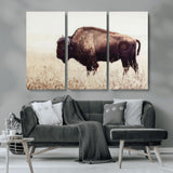 48406-MGV-CV-36X24-American Bison Wall Art – Rustic Buffalo Canvas Print in Prairie Field, Western Wildlife Photography Decor for Cabin, Lodge,