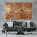 61710-MGV-CV-36X24-Tree Rings Wall Art – Rustic Wood Grain Canvas Print of Tree Trunk Cross Section, Nature Inspired Decor for Cabin, Office, Living