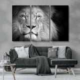 94453-MGV-CV-36X24-Lion Portrait Wall Art – Black and White King of the Jungle Canvas Print, Safari Wildlife Decor for Office, Bedroom, or Living