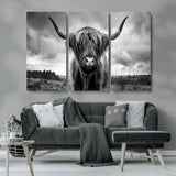 17924-MGV-CV-36X24-Highland Cow Wall Art – Black and White Rustic Longhorn Cattle Canvas Print, Farmhouse Animal Photography Decor for Country Home
