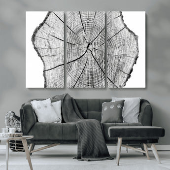 98709-MGV-CV-36X24-Tree Ring Wall Art – Black and White Canvas Print Rustic Wood Cross Section, Minimal Nature Inspired Decor for Living Room,