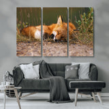 25085-MGV-CV-36X24-Sleeping Fox Wall Art Canvas Print, Framed Rustic Fox Art Picture Print, Wildlife Animal Perfect Rustic Farmhouse Decor Artwork