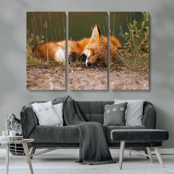 25085-MGV-CV-36X24-Sleeping Fox Wall Art Canvas Print, Framed Rustic Fox Art Picture Print, Wildlife Animal Perfect Rustic Farmhouse Decor Artwork