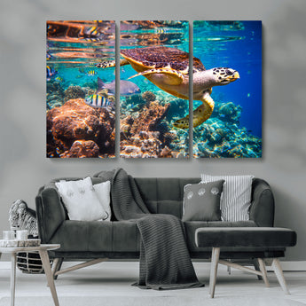 66614-MGV-CV-36X24-Sea Turtle Wall Art – Hawksbill Turtle Swimming Over Coral Reef Canvas Print, Ocean Marine Life Decor for Beach House, Coastal