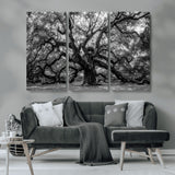 132944706-MGV-CV-36X24-Ancient Tree Wall Art – Black and White Photography Canvas Print Featuring Majestic Twisting Branches, Rustic Nature Artwork for