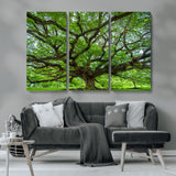 49375306-MGV-CV-36X24-Ancient Tree Wall Art Canvas Print, Framed Sprawling Branches Art Picture Print, Gnarling Tree Perfect Earthy Natural Decor