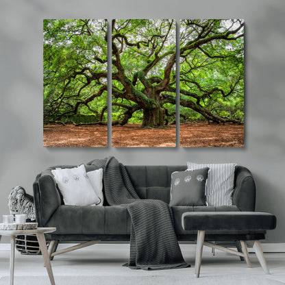51255351-MGV-CV-36X24-Ancient Tree Wall Art – Majestic Oak Canvas Print, Large Nature Photography, Sacred Forest Landscape Wall Décor, Wisdom Tree