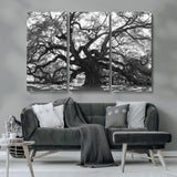 81655611-MGV-CV-36X24-Ancient Oak Wall Art Canvas Print, Framed Twisted Branches Art Picture Print, Gnarled Tree Perfect Moody Nature Decor Artwork