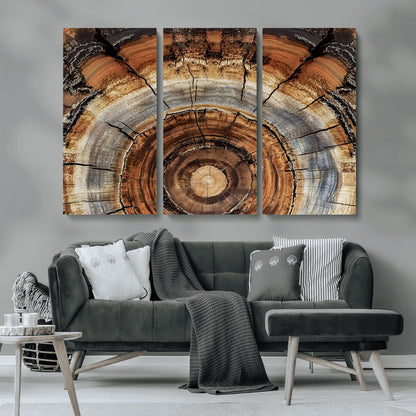 15184146-MGV-CV-36X24-Tree Rings Wall Art Canvas Print, Framed Wood Texture Art Picture Print, Rustic Pattern Perfect Rustic Organic Decor Artwork