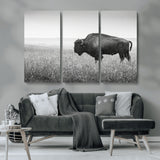 28435251-MGV-CV-36X24-Bison In Prairie Wall Art Canvas Print, Framed Rustic Wildlife Art Picture Print, Wild Buffalo Perfect Rustic Western Decor
