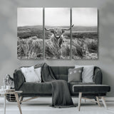 24051061-MGV-CV-36X24-Monochrome Highland Cow Wall Art Canvas Print, Framed Scottish Bull Art Picture Print, Lone Cattle Perfect Rustic Farmhouse Decor