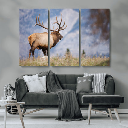 26365841-MGV-CV-36X24-Mountain Elk Art Wall Art Canvas Print, Framed Rustic Wildlife Print Art Picture Print, Lodge Style Decor Perfect Rustic Lodge