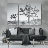 29996209-MGV-CV-36X24-Joshua Tree Art Wall Art Canvas Print, Framed Black White Landscape Art Picture Print, Desert Tree Decor Perfect Southwestern Boho