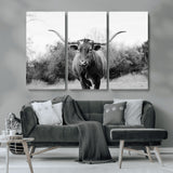 97280319-MGV-CV-36X24-Longhorn Photography Wall Art Canvas Print, Framed Western Cow Decor Art Picture Print, Texas Ranch Style Perfect Rustic Farmhouse