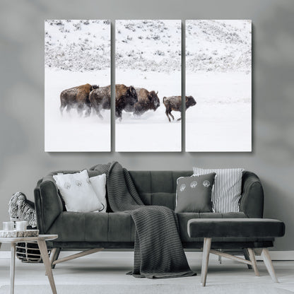56216945-MGV-CV-36X24-Bison Herd Decor Wall Art Canvas Print, Framed Snowy Bison Scene Art Picture Print, Winter Wildlife Theme Perfect Rustic Western