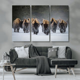 41669135-MGV-CV-36X24-Bison Herd Scene Wall Art Canvas Print, Framed Rustic Wildlife Decor Art Picture Print, Snowy Bison Landscape Perfect Rustic