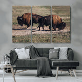 58141885-MGV-CV-36X24-Bison Photography Wall Art Canvas Print, Framed Western Wildlife Art Picture Print, Modern Ranch Perfect Western Rustic Decor