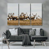 42170220-MGV-CV-36X24-Elk Herd Wall Art Canvas Print, Framed Wildlife Photography Art Picture Print, Majestic Antlers Perfect Rustic Wildlife Decor
