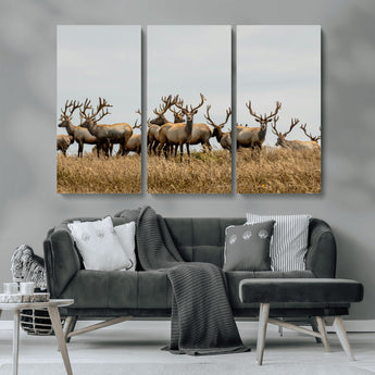 42170220-MGV-CV-36X24-Elk Herd Wall Art Canvas Print, Framed Wildlife Photography Art Picture Print, Majestic Antlers Perfect Rustic Wildlife Decor
