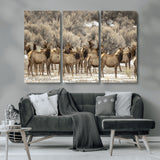 93076148-MGV-CV-48X32-3P-Elk Herd Wall Art – Wildlife Canvas Print of Elk in Winter Landscape, Rustic Western Cabin & Lodge Décor, Nature Photography for