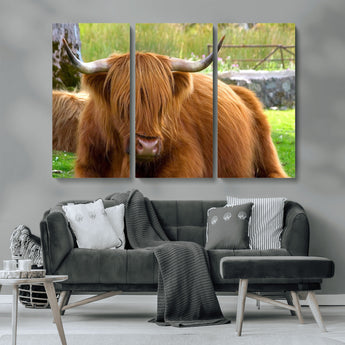 68411138-MGV-CV-36X24-Farmhouse Wall Art – Highland Cow Canvas Print, Rustic Country Cattle Photography Decor for Bedroom, Living Room, Office, Ranch,