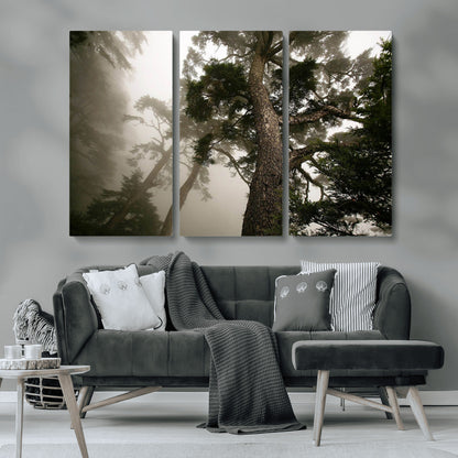 87969493-MGV-CV-36X24-Forest Wall Art – Misty Tall Trees Canvas Print, Dramatic Woodland Photography Decor for Bedroom, Living Room, Office, Cabin,