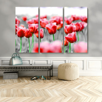 44554-MGV-CV-48X32-3P-Vibrant red tulips stand out beautifully against a black-and-white background, making a striking decor piece perfect for any home