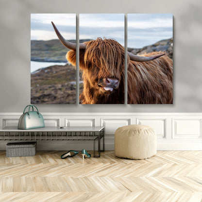 71222-MGV-CV-48X32-3P-A playful Highland cow with shaggy fur sticks out its tongue, set against a rugged landscape — perfect for quirky home or office