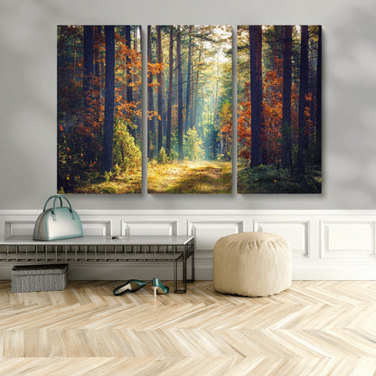 86249-MGV-CV-48X32-3P-Sunlit Autumn Forest Path Wall Art – Peaceful Nature Scene with Fall Foliage, Calming Woods Decor for Home or Office