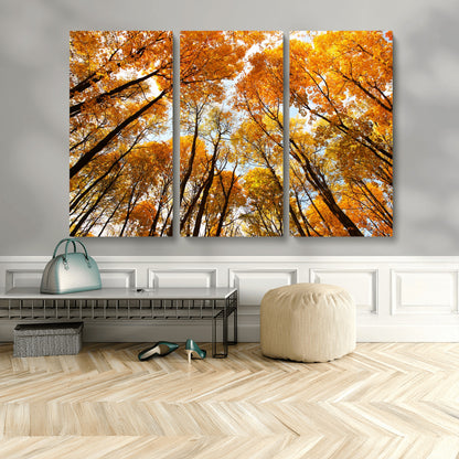11823-MGV-CV-36X24-Golden Autumn Tree Canopy Wall Art – Stunning Fall Forest Leaves Print, Warm Seasonal Nature Decor for Home, Office or Cabin