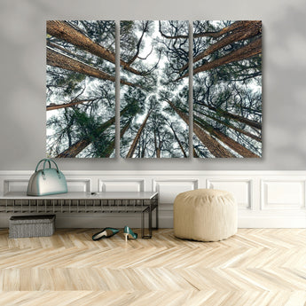 18790-MGV-CV-36X24-Pine Canopy Wall Art – Panoramic View of Towering Pines Canvas Print, Nature-Inspired Decor for Office, Cabin or Living Room
