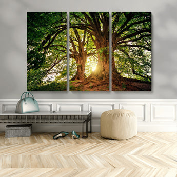 52150-MGV-CV-48X32-3P-Majestic Tree Wall Art – Large Nature Canvas Print with Sunlight Through Branches, Rustic Forest Decor for Living Room, Bedroom or