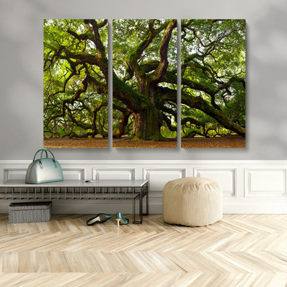 29407-MGV-CV-48X32-3P-Ancient Oak Tree Wall Art – Majestic Nature Canvas Print, Large Tree Photography Decor for Living Room or Office
