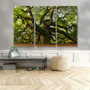 29407-MGV-CV-36X24-Ancient Oak Tree Wall Art – Majestic Nature Canvas Print, Large Tree Photography Decor for Living Room