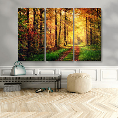73494-MGV-CV-36X24-Golden Autumn Forest Path Wall Art – Sunlit Woodland Canvas Print, Fall Nature Landscape Home Decoration