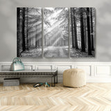 39665-MGV-CV-48X32-3P-Black and White Forest Path Wall Art – Sunlight Rays in Trees Canvas Print, Nature Landscape Decor for Living Room or Office