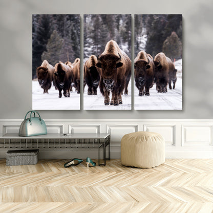 66871-MGV-CV-36X24-Bison Herd Wall Art – Wildlife Buffalo Canvas Print, Rustic Western Nature Photography Decor for Living Room, Office, Cabin, or