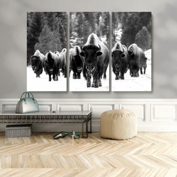 62434-MGV-CV-48X32-3P-Bison Herd Wall Art – Majestic Black and White Buffalo Canvas Print, Wildlife Nature Photography Decor for Living Room, Office or