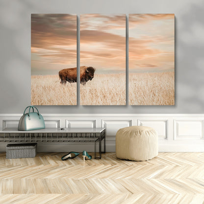 99699-MGV-CV-36X24-Bison in Prairie at Sunset – Wildlife Photography Print, American Buffalo Wall Art, Nature Landscape Canvas Decor for Office