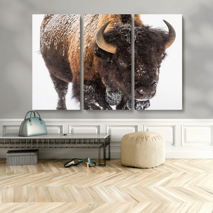 65605-MGV-CV-36X24-Snow Bison Wall Art – Close Up Buffalo Canvas Print, Rustic Western Wildlife Photography, Farmhouse Cabin Lodge Decor for Living