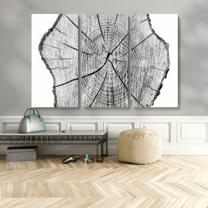 98709-MGV-CV-36X24-Tree Ring Wall Art – Black and White Canvas Print Rustic Wood Cross Section, Minimal Nature Inspired Decor for Living Room,