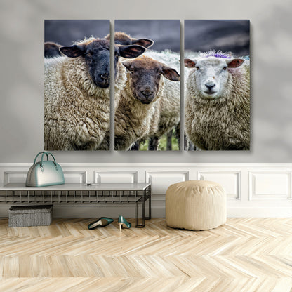 18418-MGV-CV-36X24-Sheep Wall Art Canvas Print, Framed Farmhouse Sheep Art Picture Print, Sheep Herd Perfect Rustic Farmhouse Decor Artwork