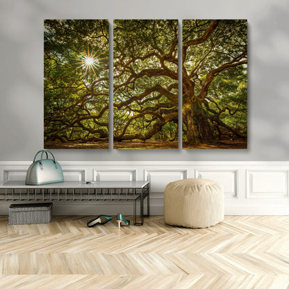 57983-MGV-CV-36X24-Angel Oak Tree Wall Art Canvas Print, Framed Oak Tree Art Picture Print, Angel Oak Perfect Rustic Nature Decor Artwork