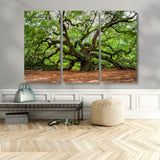 51255351-MGV-CV-48X32-3P-Ancient Tree Wall Art – Majestic Oak Canvas Print, Large Nature Photography, Sacred Forest Landscape Wall Décor, Wisdom Tree
