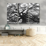 81655611-MGV-CV-48X32-3P-Ancient Oak Wall Art Canvas Print, Framed Twisted Branches Art Picture Print, Gnarled Tree Perfect Moody Nature Decor Artwork