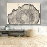 98921313-MGV-CV-36X24-Tree Ring Wall Art Canvas Print, Framed Wood Slice Art Picture Print, Minimalist Wood Perfect Rustic Academic Decor Artwork