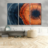 57732250-MGV-CV-48X32-3P-Tree Ring Abstract Wall Art – Blue Orange Wood Grain Canvas Print, Modern Rustic Nature Artwork for Living Room, Office,