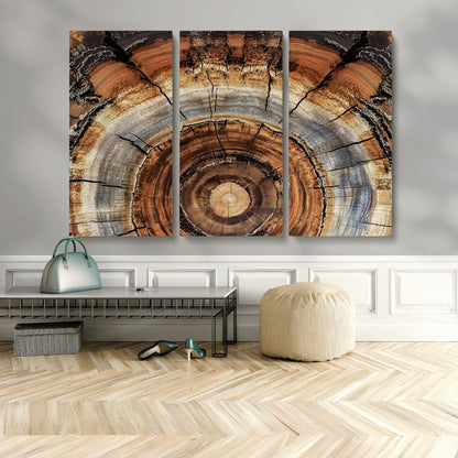 15184146-MGV-CV-48X32-3P-Tree Rings Wall Art Canvas Print, Framed Wood Texture Art Picture Print, Rustic Pattern Perfect Rustic Organic Decor Artwork