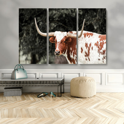 54027638-MGV-CV-36X24-Texas Longhorn Wall Art Canvas Print, Framed Spotted Cow Art Picture Print, Horned Bull Perfect Rustic Western Decor Artwork